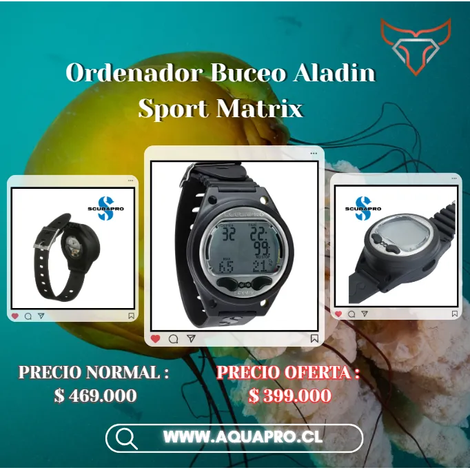 Ordenador de Muñeca Aladin Sport Matrix