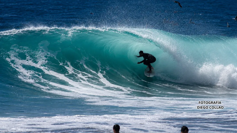 Surf
